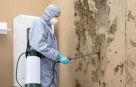 Mold Removal for HVAC Installations in Rossville, TN